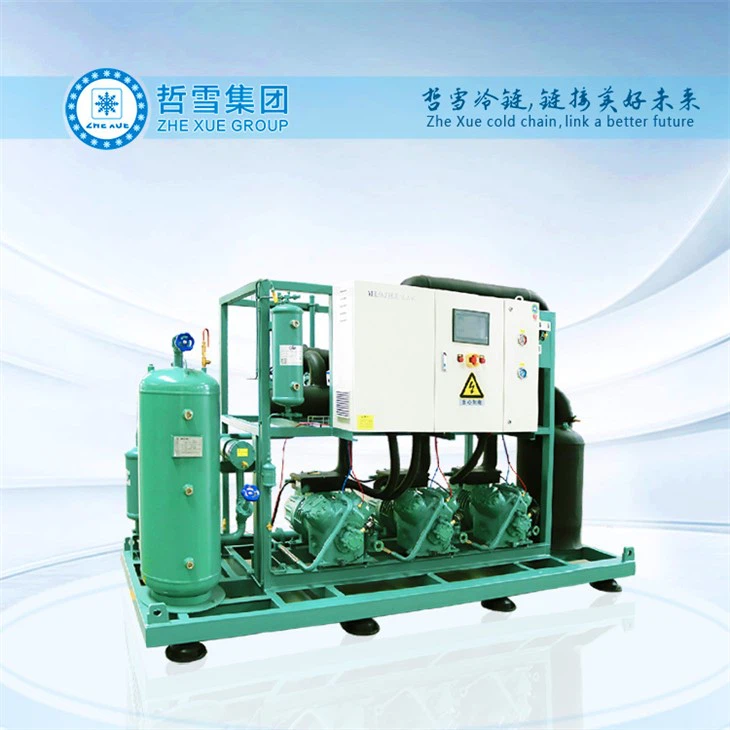 2-Stage hálf-hermetic stimpla þjöppu rekki